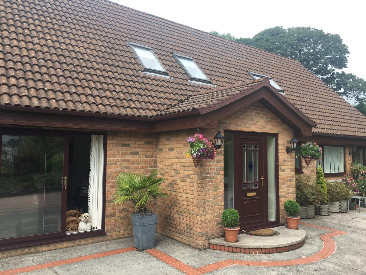 The Firs - Englefied Studio Bed and Breakfast Douglas Εξωτερικό φωτογραφία